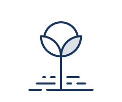Cotton Icon