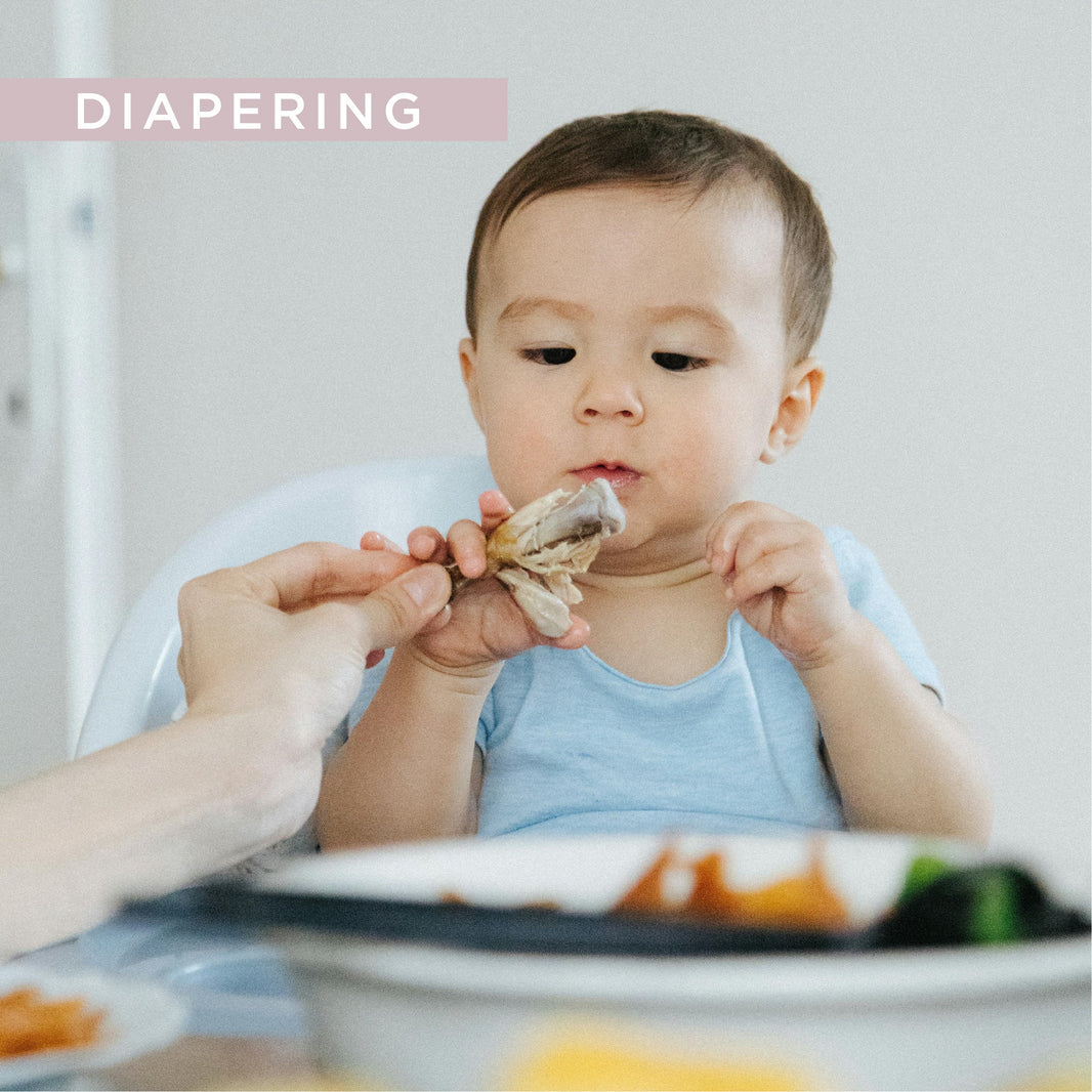 Baby in High Chair Eating Chicken Bone