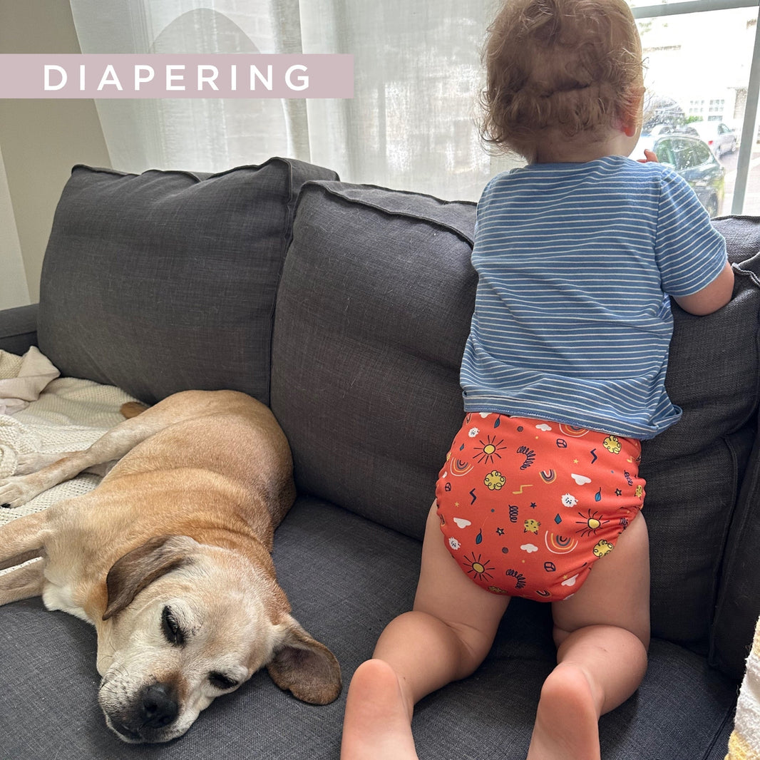 Potty Training with Cloth Diapers